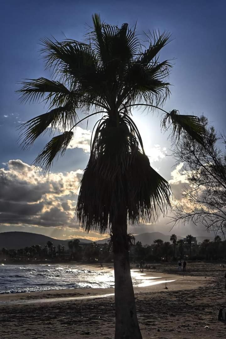 Vacances En Paradis Saint-Raphaël 외부 사진