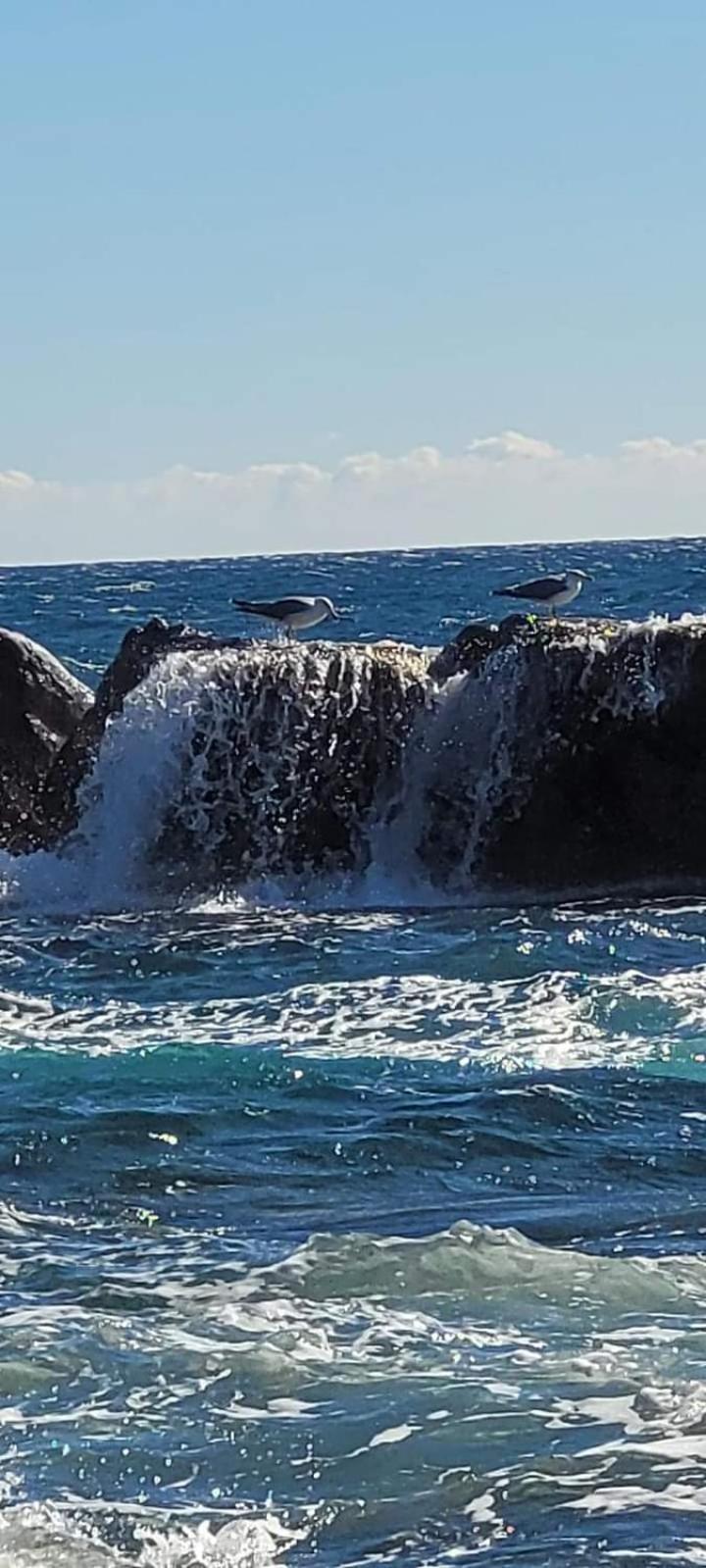 Vacances En Paradis Saint-Raphaël 외부 사진